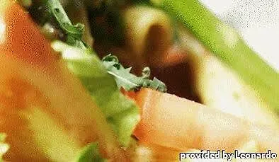 호텔 Schaumburg 홀스테브로